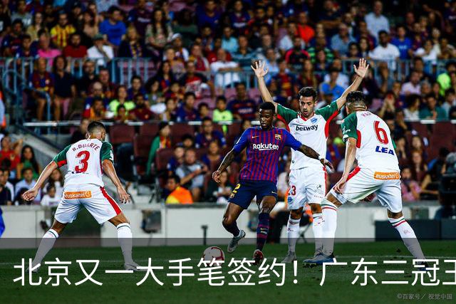 北京又一大手笔签约！广东三冠王功勋加盟：杜锋得力助手联手李楠