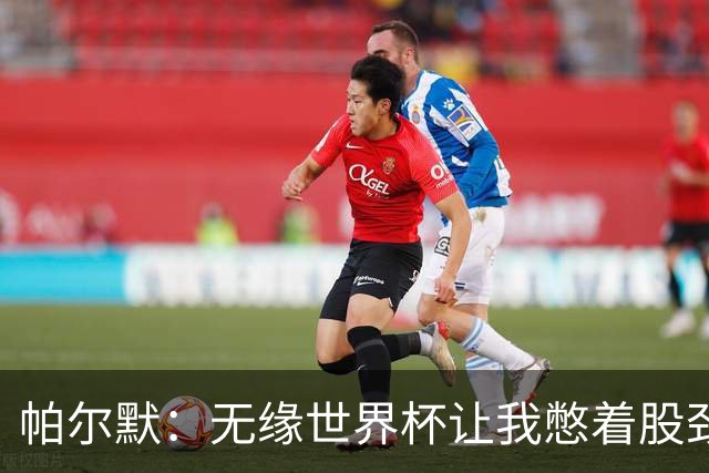 帕尔默：无缘世界杯让我憋着股劲；阿隆索说他希望我踢10号位