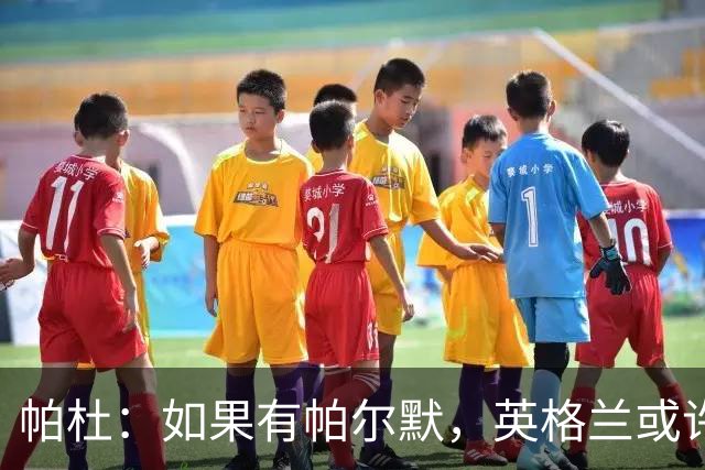 帕杜：如果有帕尔默，英格兰或许能破加纳防守