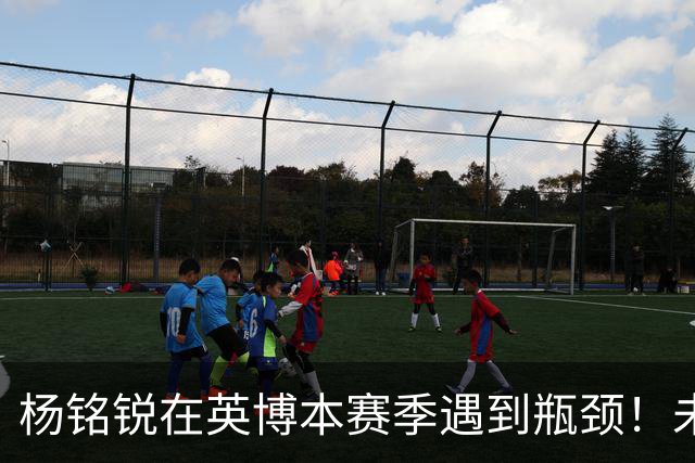 杨铭锐在英博本赛季遇到瓶颈！未来可向毛伟杰学习，就能走出低谷
