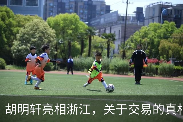 胡明轩亮相浙江，关于交易的真相揭秘