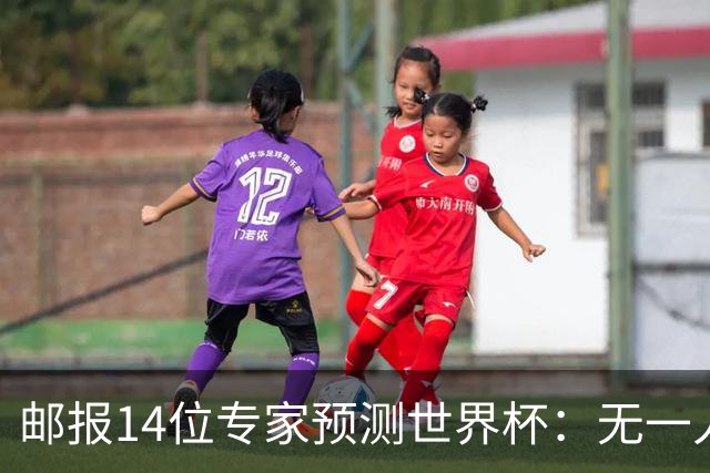 邮报14位专家预测世界杯：无一人看好英格兰队夺冠